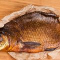 Gefährdungen für Forellenbiotope: Umwelteinflüsse, invasive Arten und was Angler beitragen können