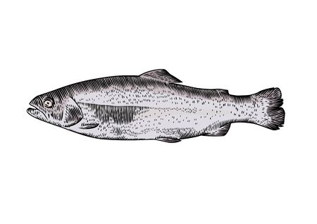Gastronomie und Fischspezialitäten: Kulinarische Reise für Angler in Mecklenburg-Vorpommern