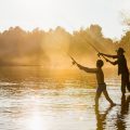 Futterkorb versus PVA: Wann lohnt sich welche Methode beim Grundangeln?