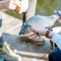 Angeln als Therapie: Profi-Angler über die wohltuende Kraft des Fischens