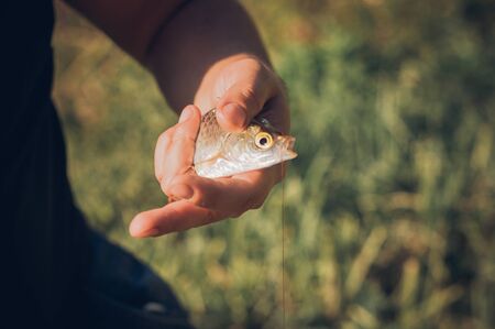Bedrohungen für einheimische Fischarten: Von Wasserverschmutzung bis invasive Arten
