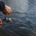 Gewässerkunde mit Profis: Erfolgreiches Angeln an Fluss, See und Meer