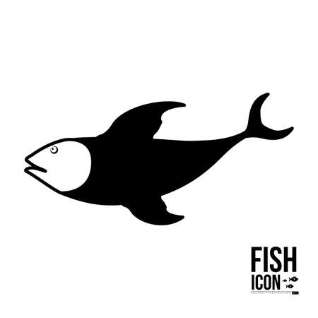 Länderspezifische Unterschiede in der Organisation und Befugnis der Fischereiaufsicht