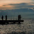 Bestimmungen und Gesetze: Was Posenangler in Deutschland beachten müssen