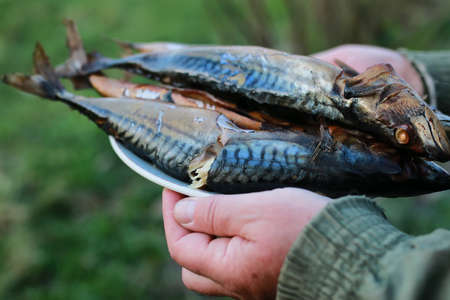 Diskussionen in der deutschen Anglerszene: Für und Wider von Catch & Release