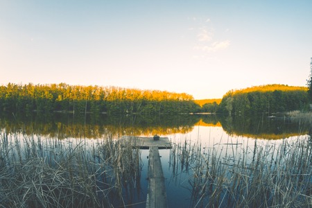 Angeln im Schwarzwald: Die schönsten Seen und regionale Besonderheiten