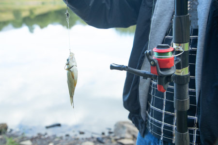 Präsentationstaktiken für Kunstköder im Fluss: Strömung optimal nutzen