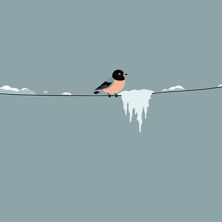 Die besten Tipps für Großfische beim Posenangeln im Stillwasser